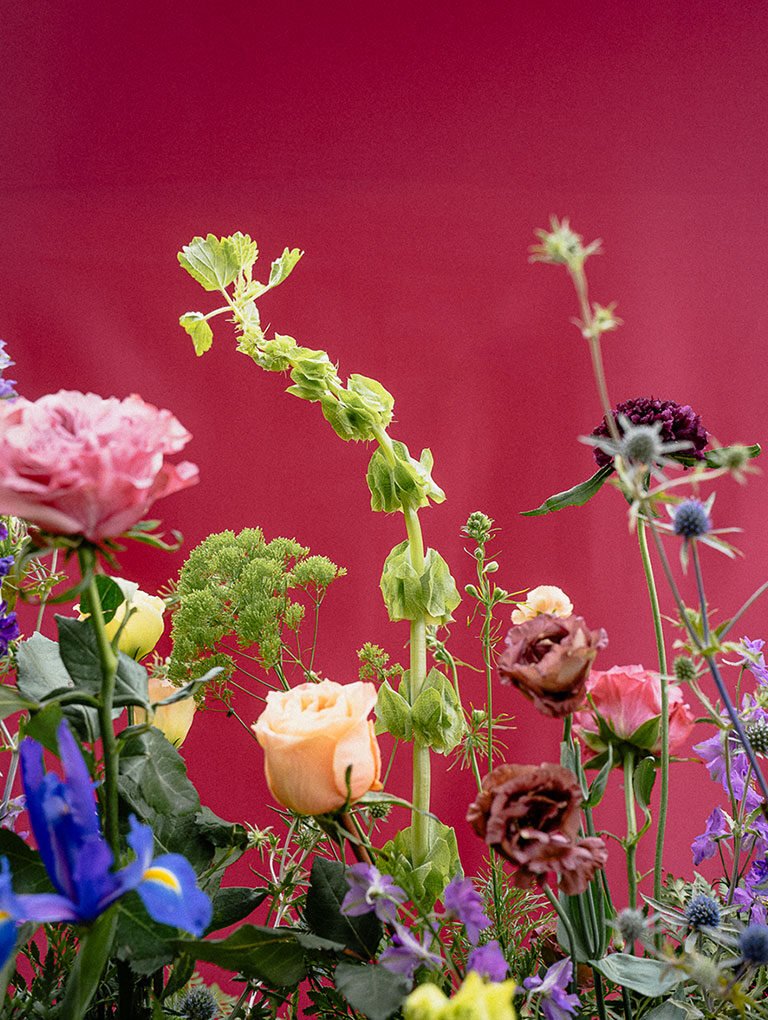 Flores